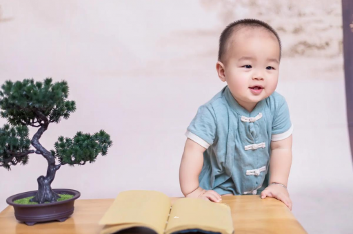 磐石可爱的企鹅宝宝